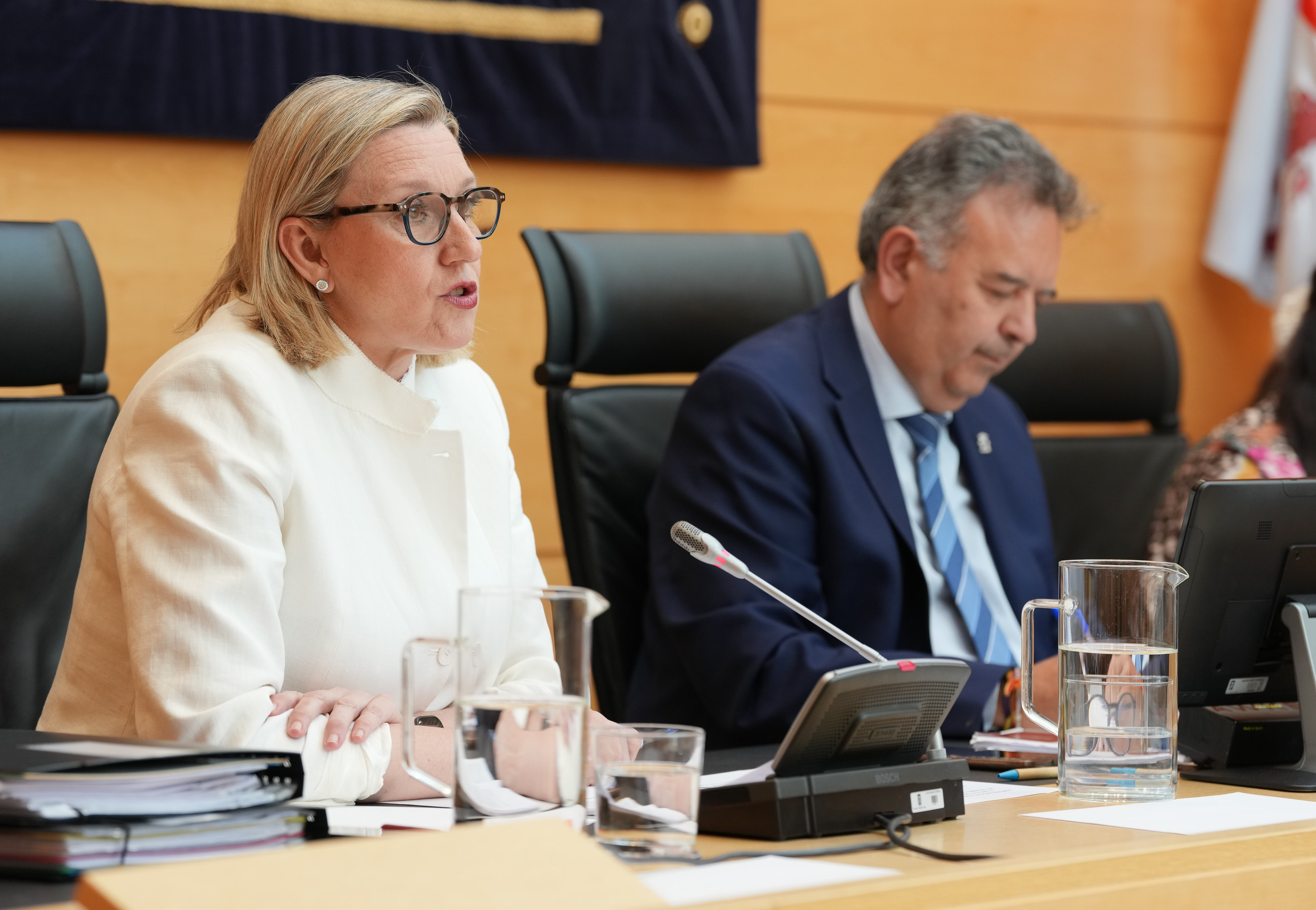 Comparecencia de la vicepresidenta segunda de la Junta de Castilla y León