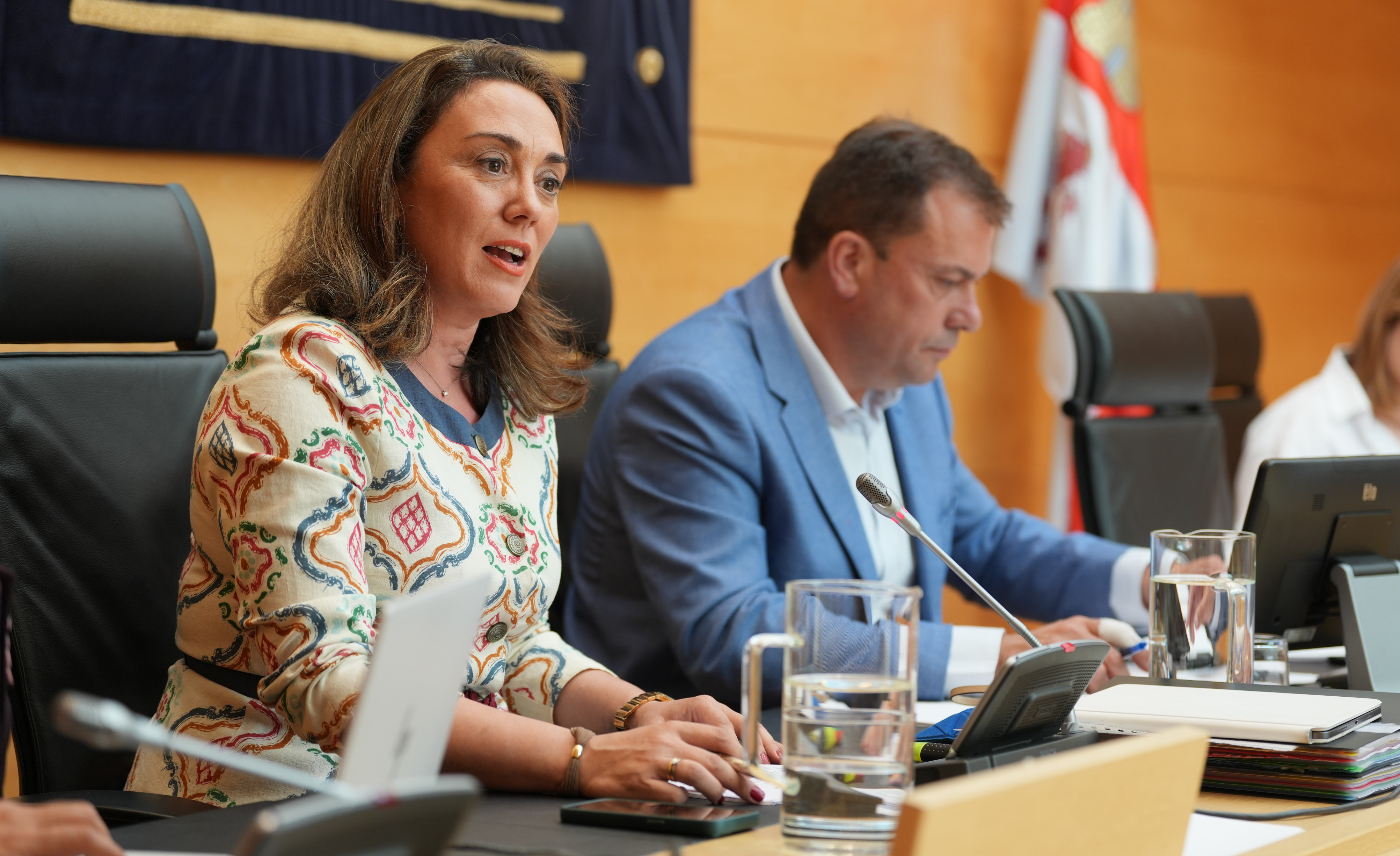 Comparecencia de la consejera de Medio Ambiente y Energía de la Junta de Castilla y León