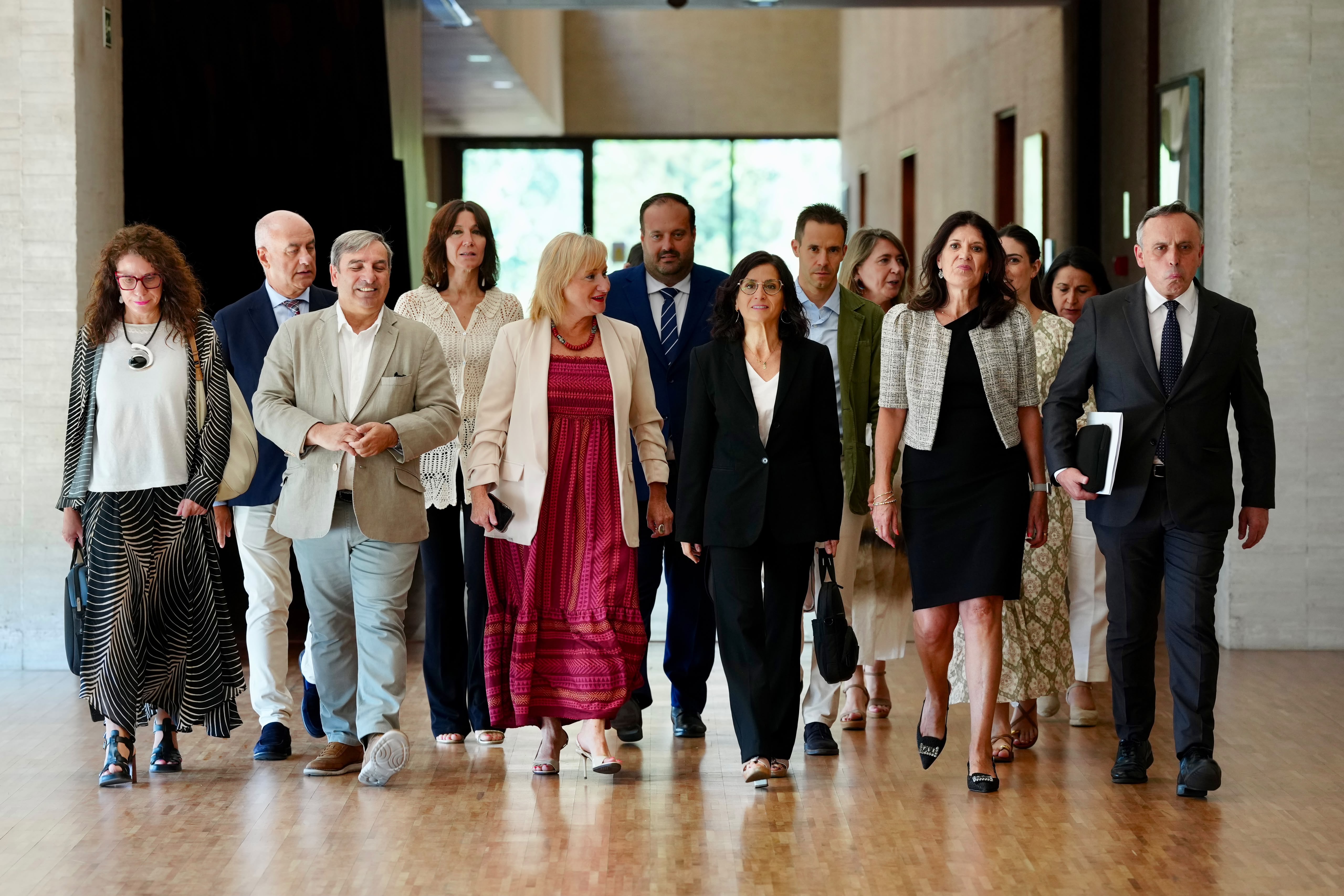Comparecencia de la consejera de Movilidad, Transformación Digital e Inteligencia Artificial de la Junta de Castilla y León