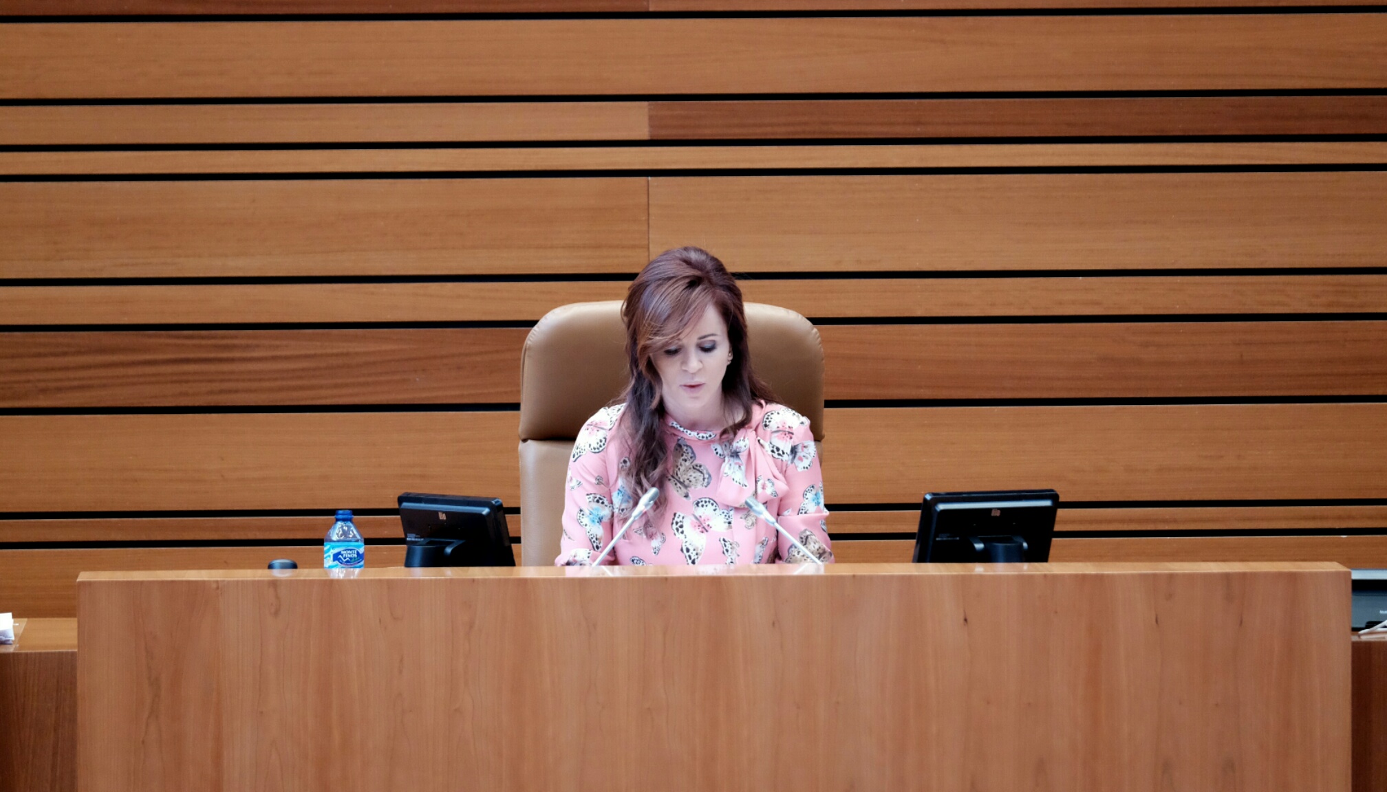 Silvia Clemente durante la lectura de la declaración institucioanl
