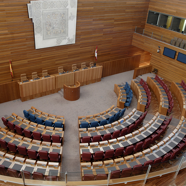 El Pleno