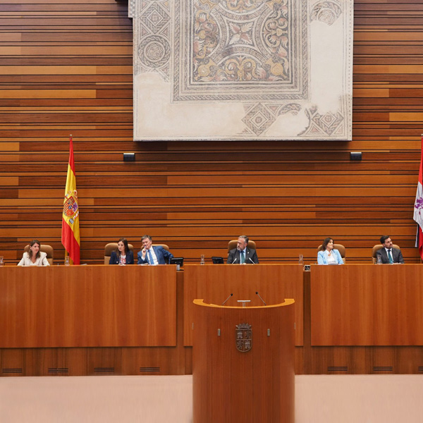 La Mesa en el Pleno de Cortes